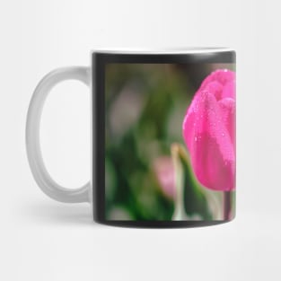 Pink tulip close-up Mug